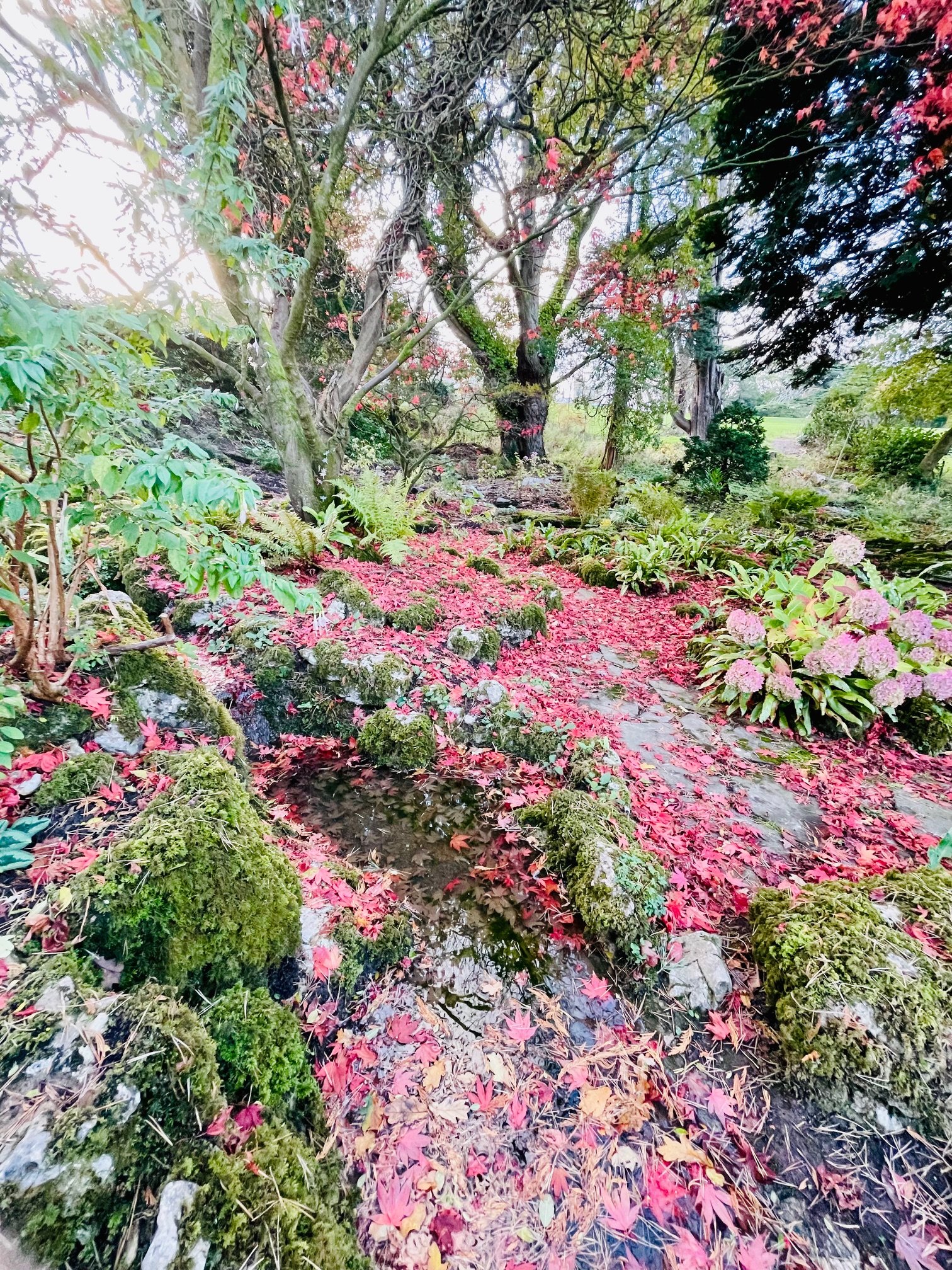 Llanerchydol Hall Grounds and architecture