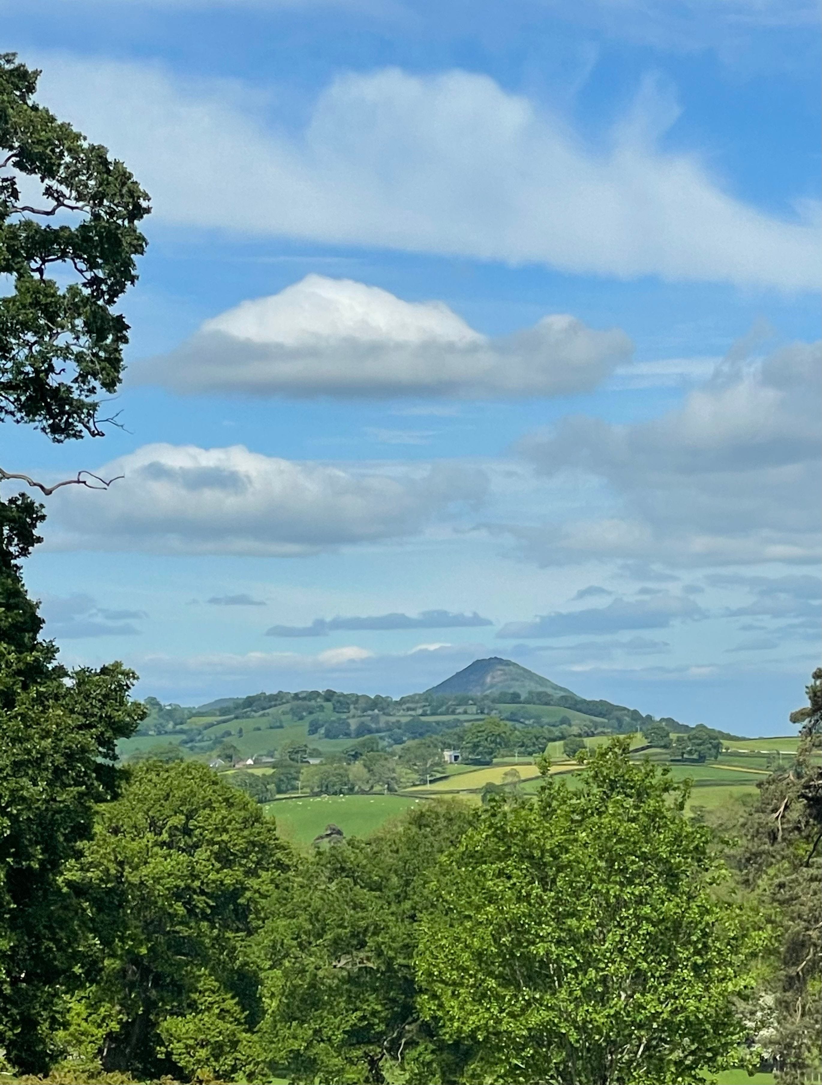 Llanerchydol Hall Grounds and architecture