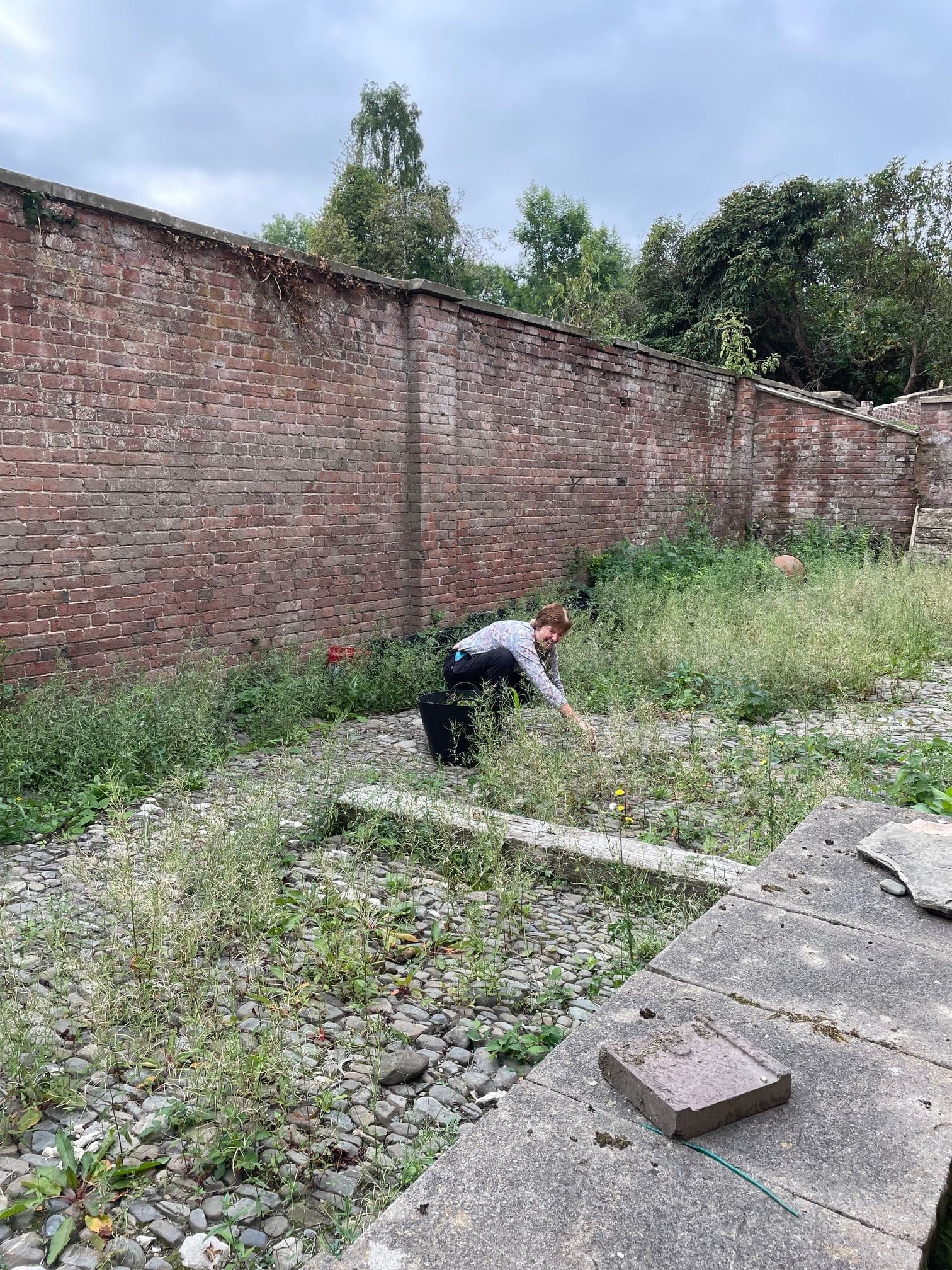Clearing out the Courtyard