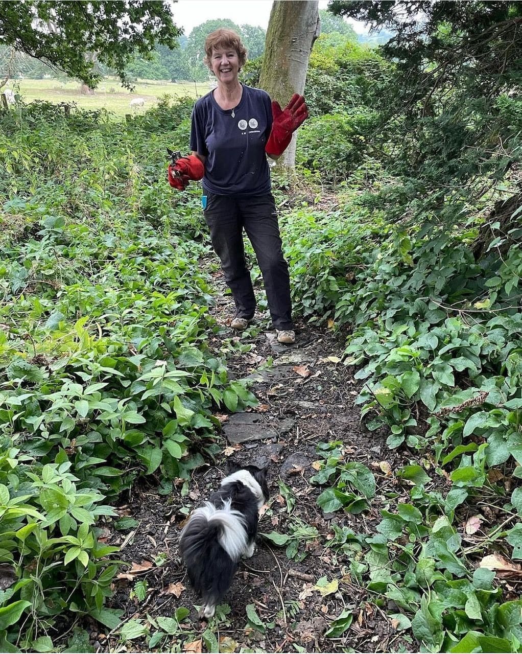 Volunteer in the Japanese Garden